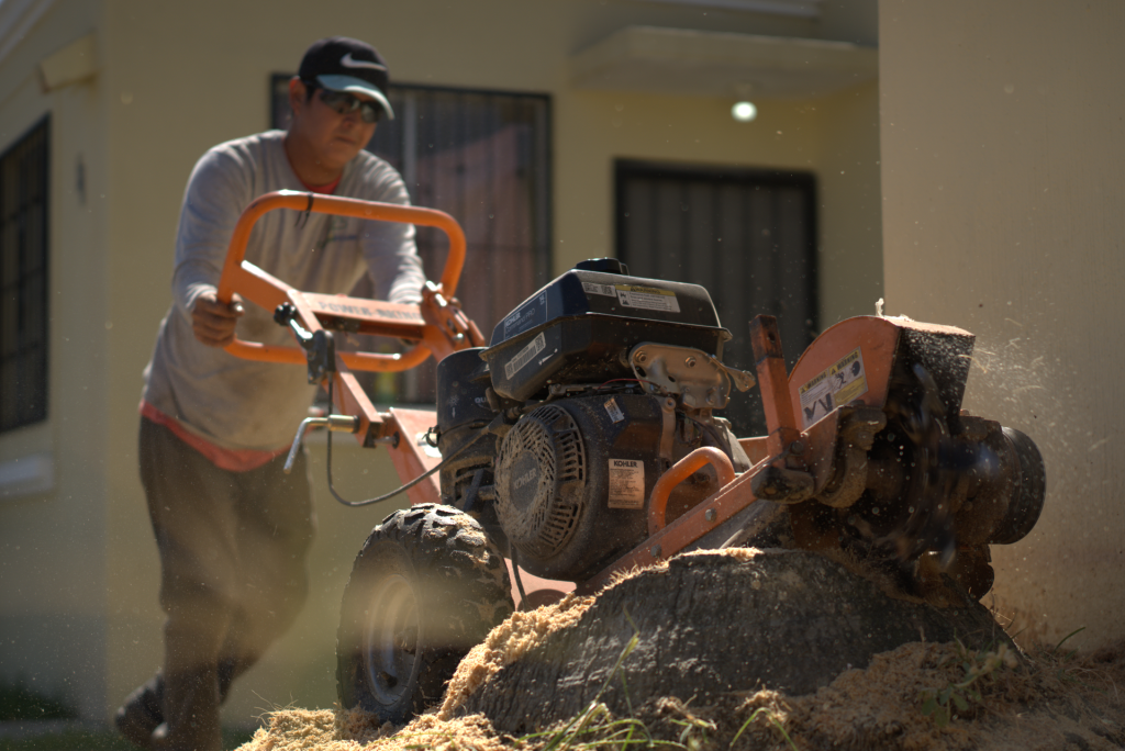 Destoconado de raices