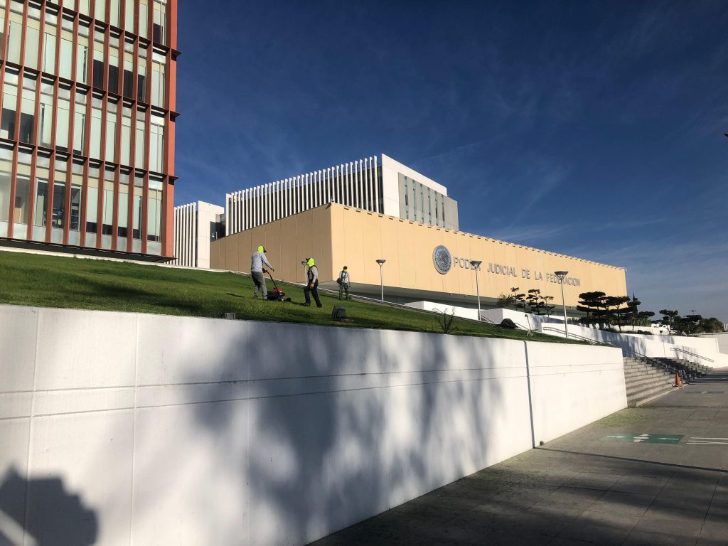 Mantenimiento de áreas verdes