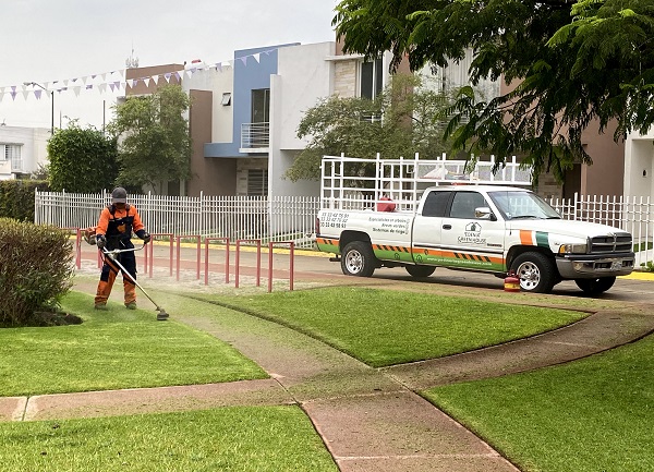 ¿Cuánto cuesta el mantenimiento de jardines en Guadalajara en 2026? Precios reales y qué incluye