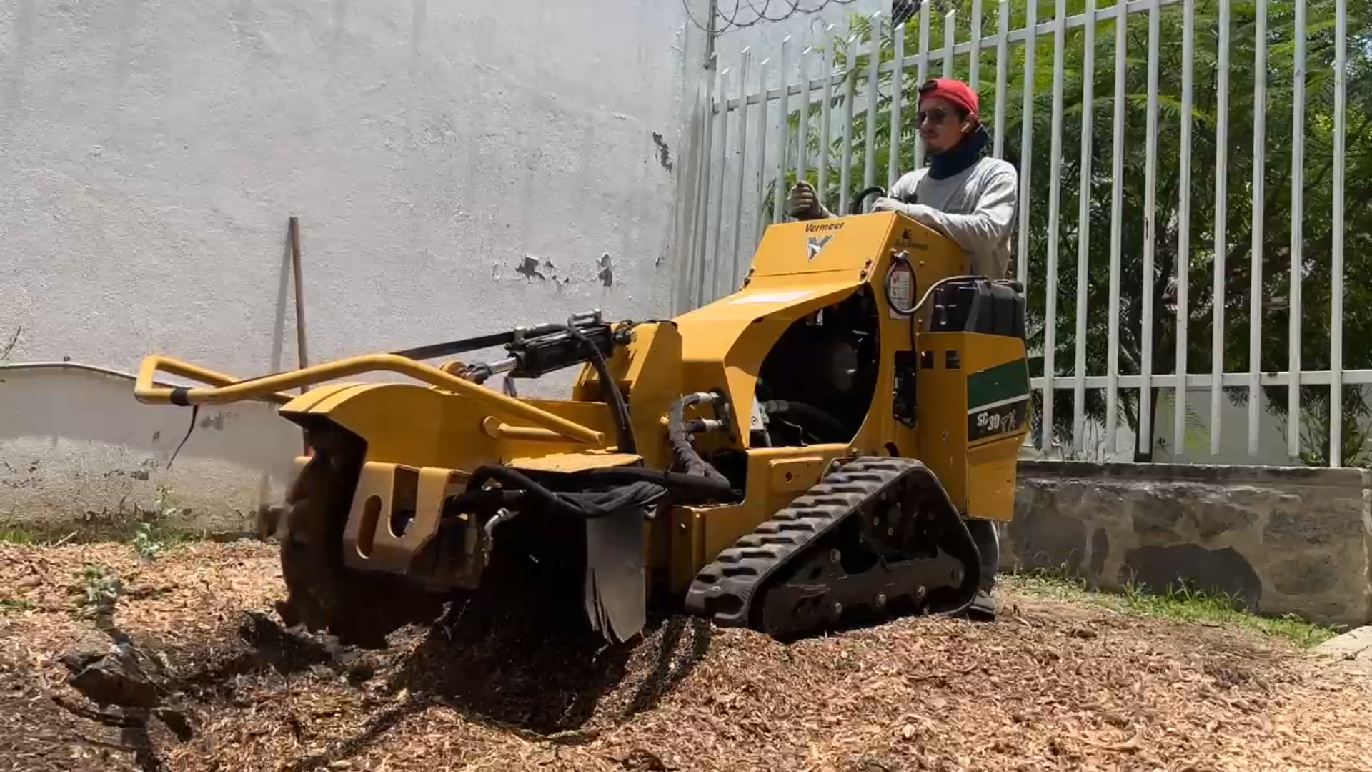 ¿Qué es el destoconado y por qué es importante después de derribar un árbol?